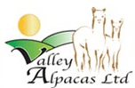 Valley Alpacas in Kent, Alpacas, Fashion, Adoption, Breeding Business.